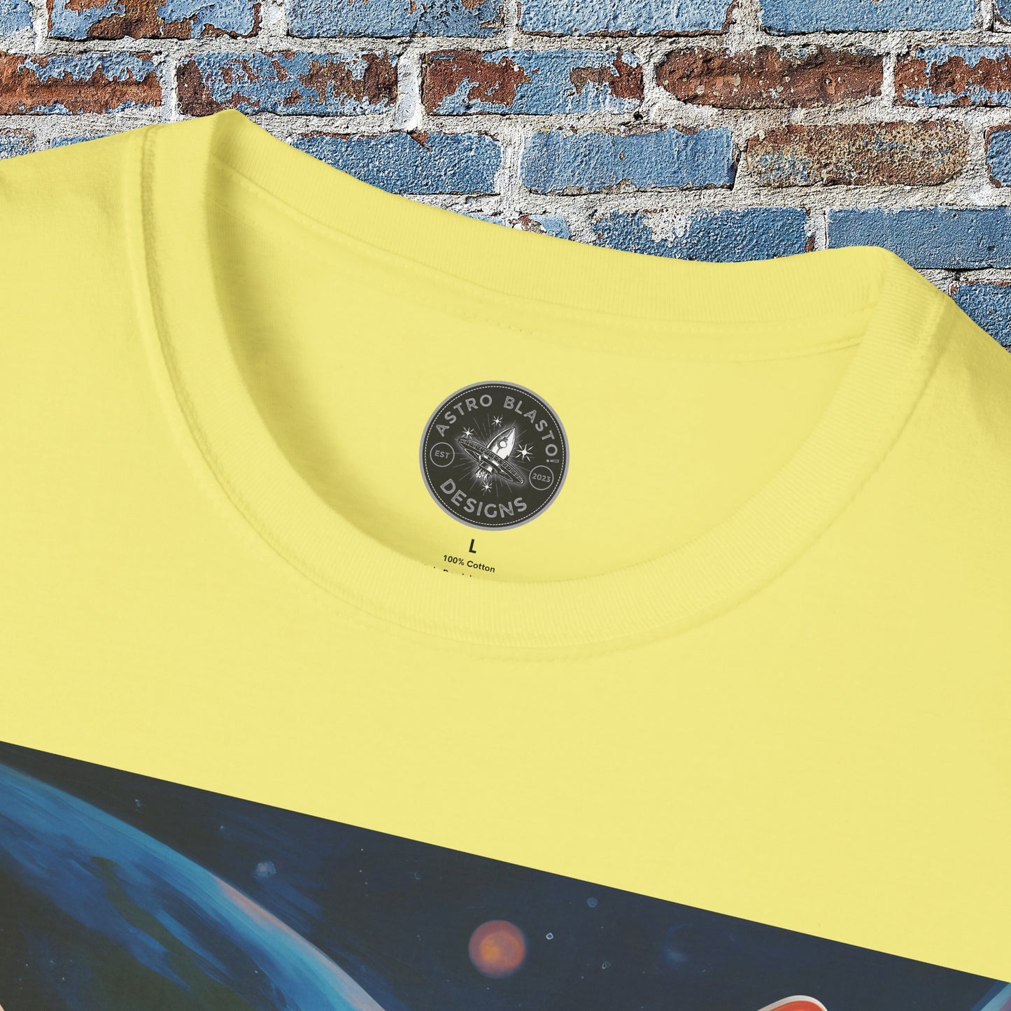 pet cadet space art t-shirt sphynx cat