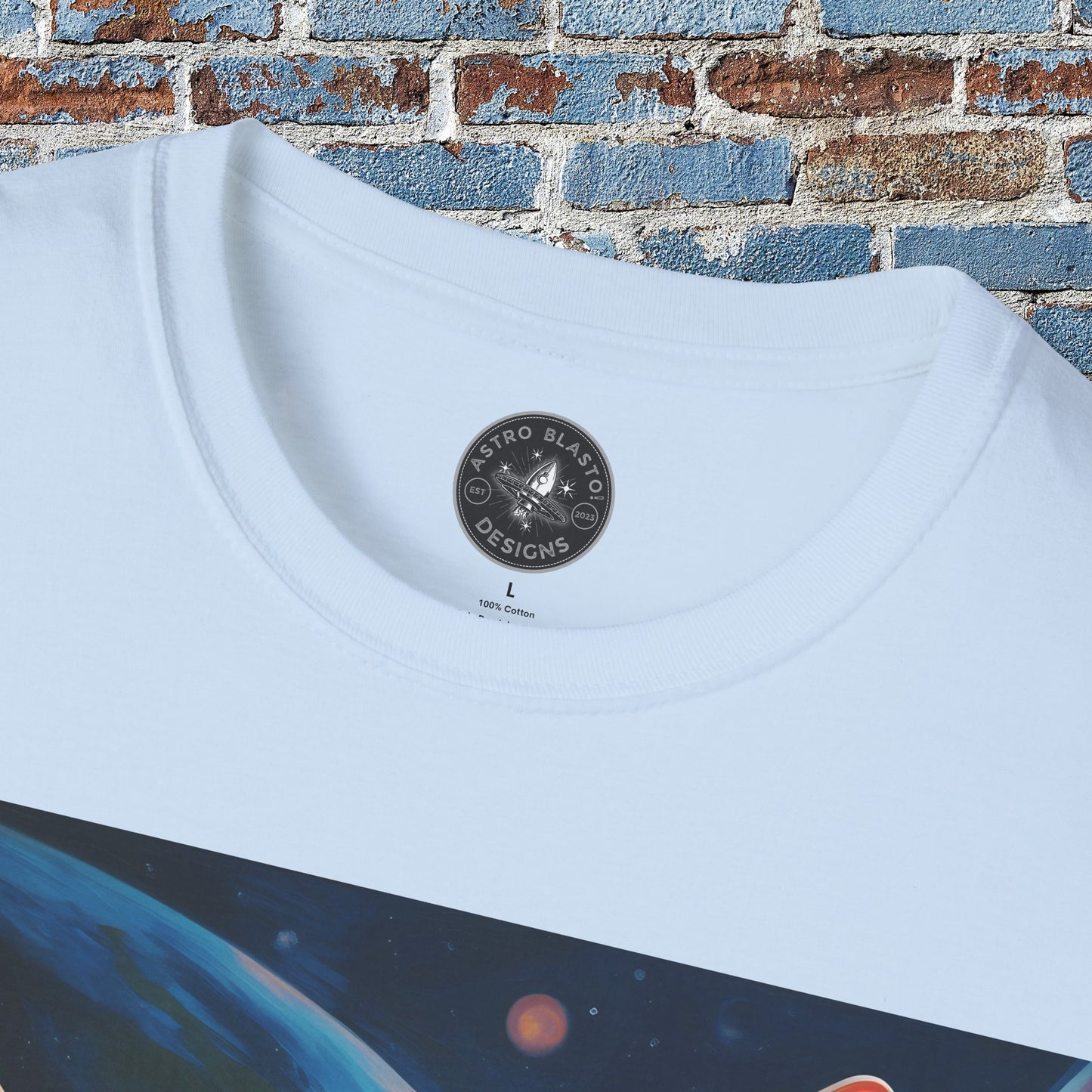 pet cadet space art t-shirt sphynx cat