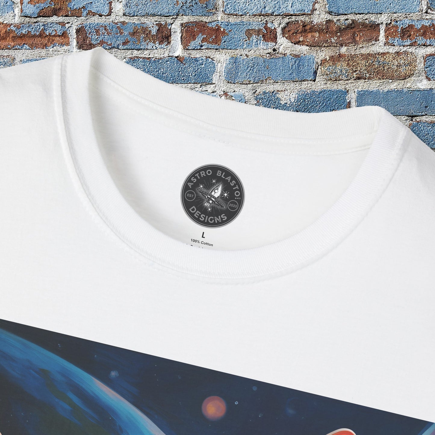 pet cadet space art t-shirt sphynx cat