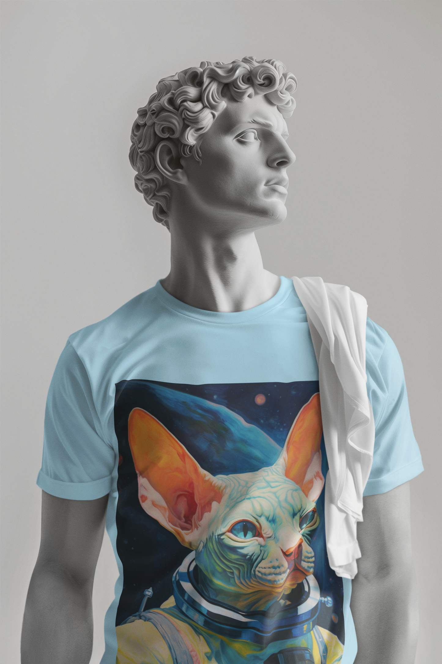 pet cadet space art t-shirt sphynx cat