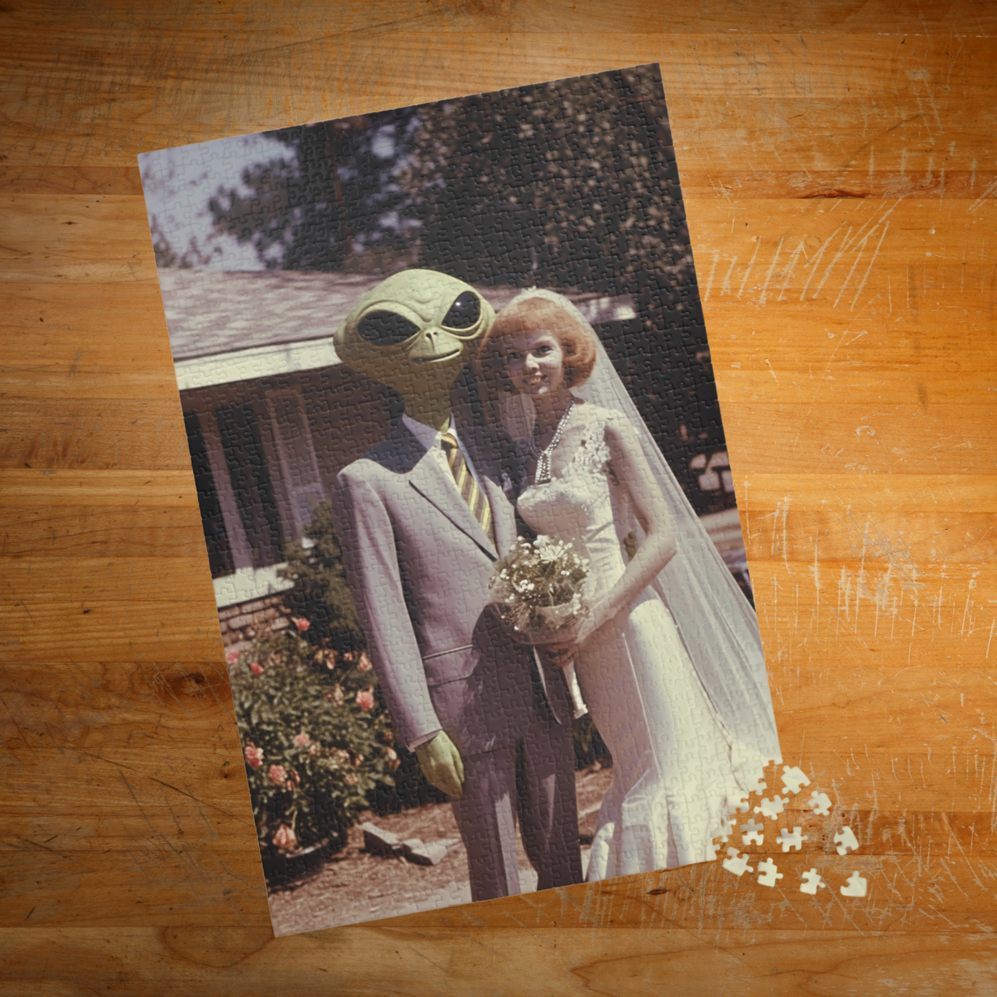 Alien Love Connections Puzzle - Couple #5 (1014, 520, or 252 pcs)