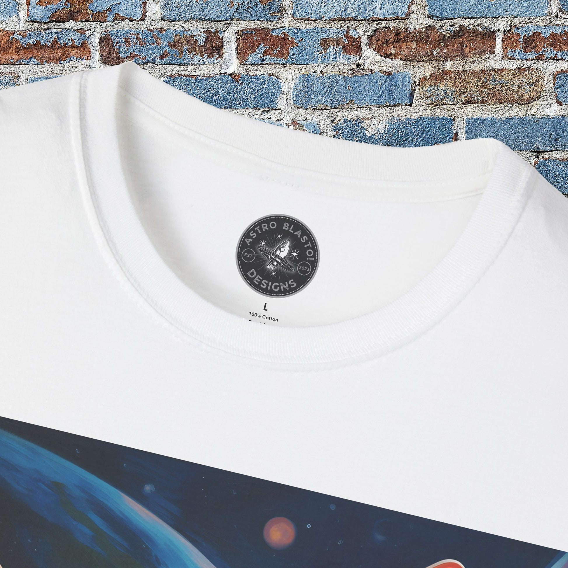 pet cadet space art t-shirt sphynx cat